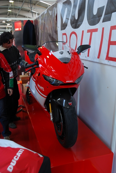Puce_Niort_2009_038 [800x600].jpg